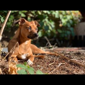 Meet your Posher, Chris